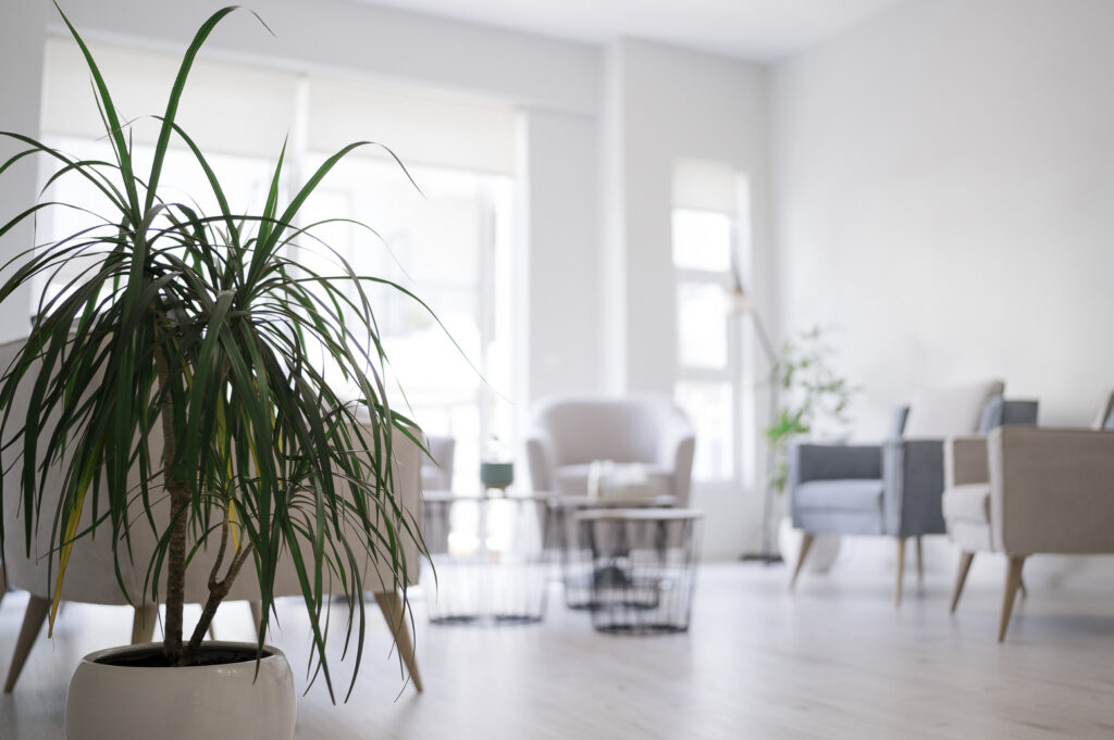 Ανακαίνιση γραφείου ψυχολόγου στην Αμαλιάδα - Εσωτερικός χώρος με μοντέρνα διακόσμηση από το SCale Design Studio